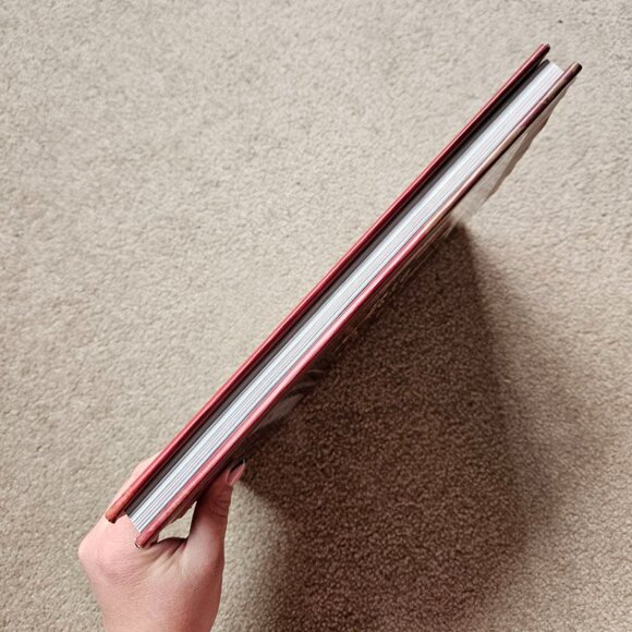 4/$40 Burning Up: On Tour with the Jonas Brothers - Hardcover - Picture 9 of 10